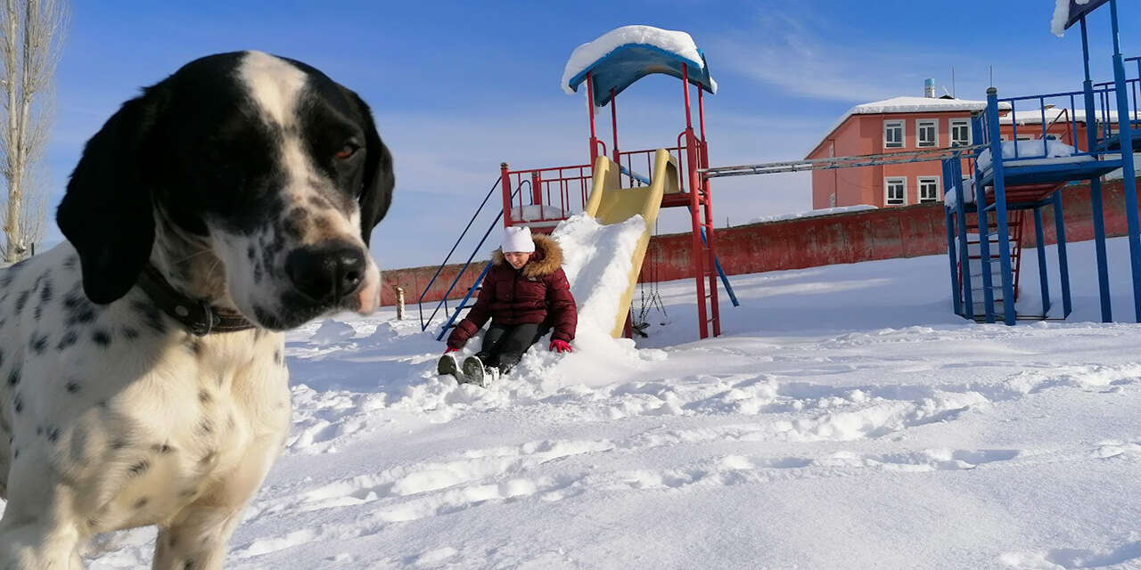 Konya'nın beyaz hasreti! Aralık ortası geldi, kar yok