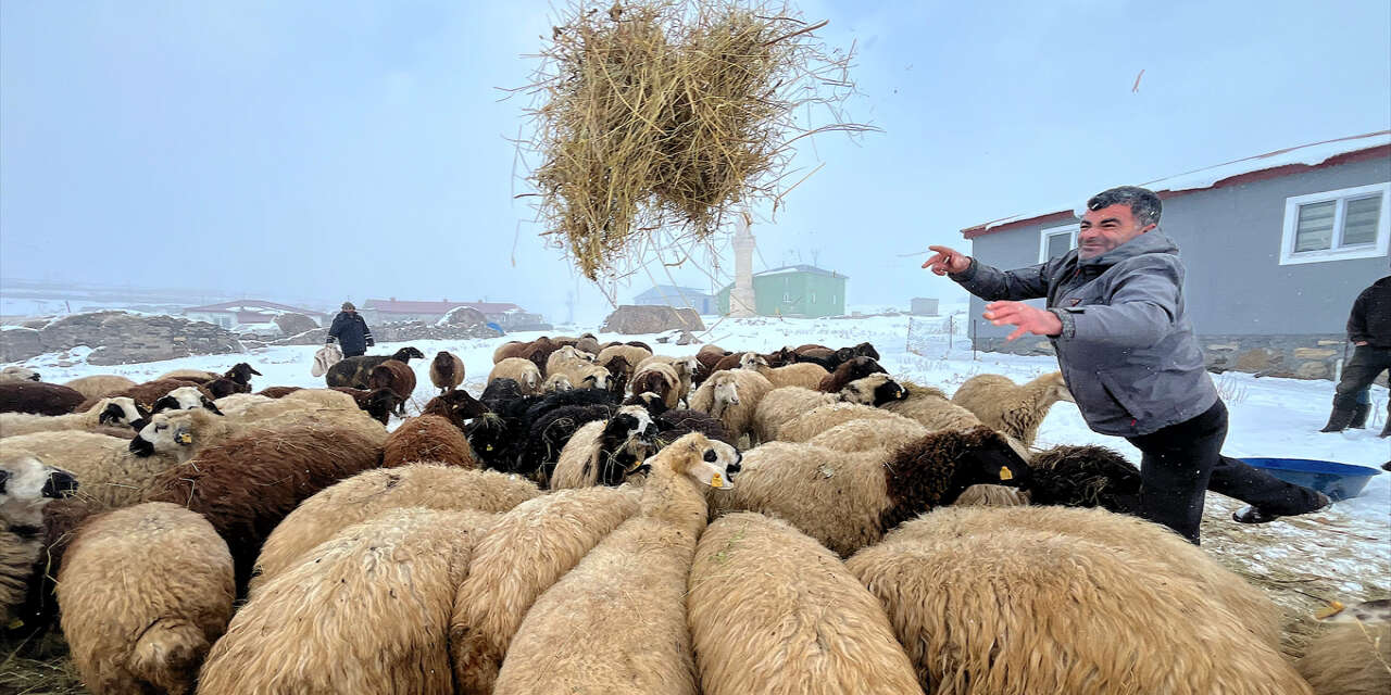 Besiciler zorlu kış mesaisine başladı