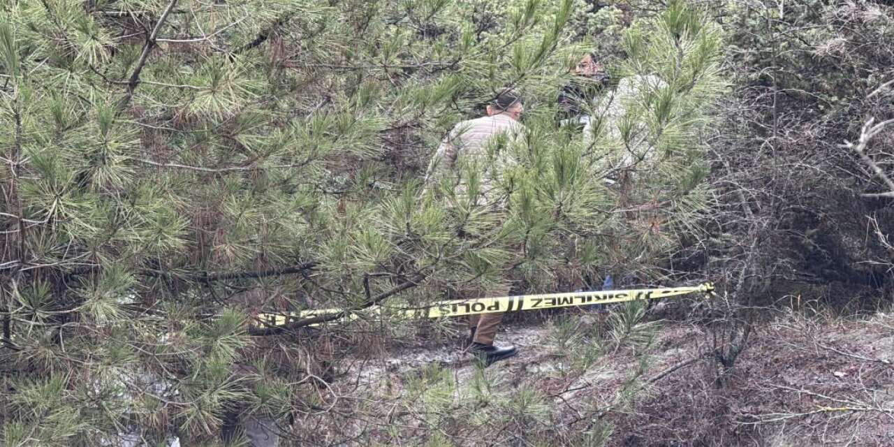 Otelden çıktı, ormanda cesedi bulundu