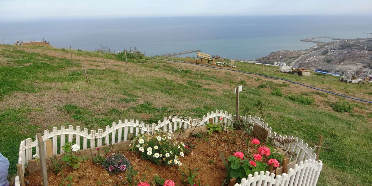 Deniz manzaralı mezar için sıraya girdiler! 6 bin kişilik yer şimdiden doldu