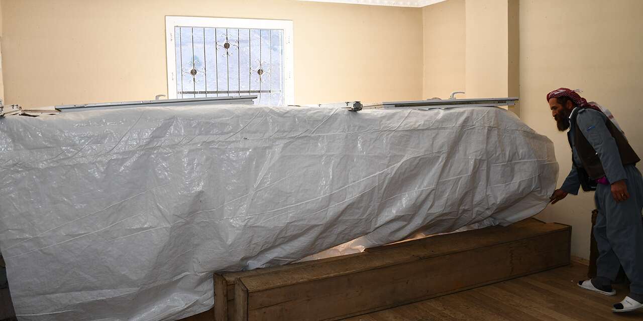 Evin en güzel noktasını onlara ayırdı, kilosunu 10 bin liraya satıyor