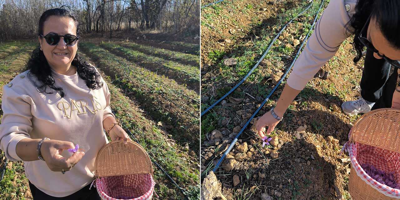 Konya’da kadın üreticinin şifa yolculuğu markaya dönüştü