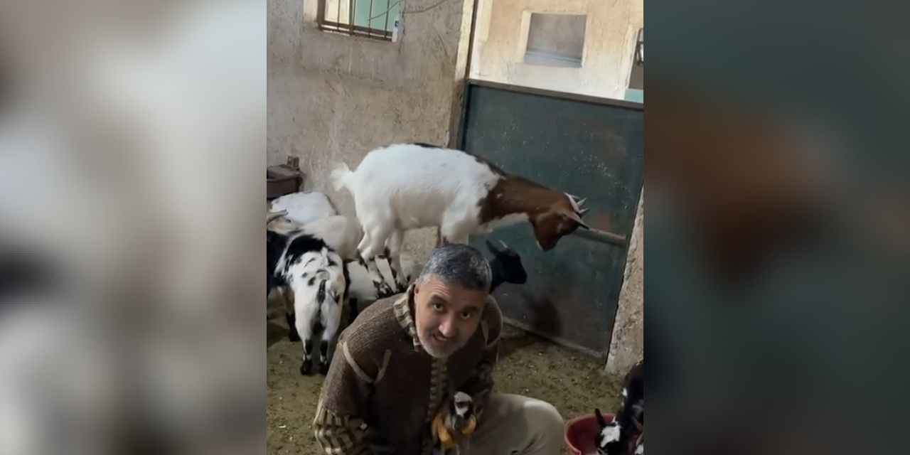 Sevgi dolu görüntü Konya’dan! Sırtından inmiyorlar