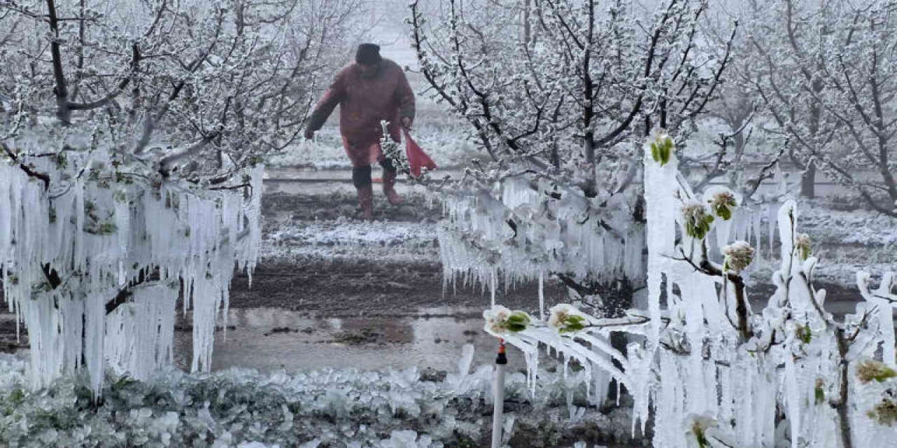 Çiftçilere kritik uyarı! Son tarih yaklaşıyor