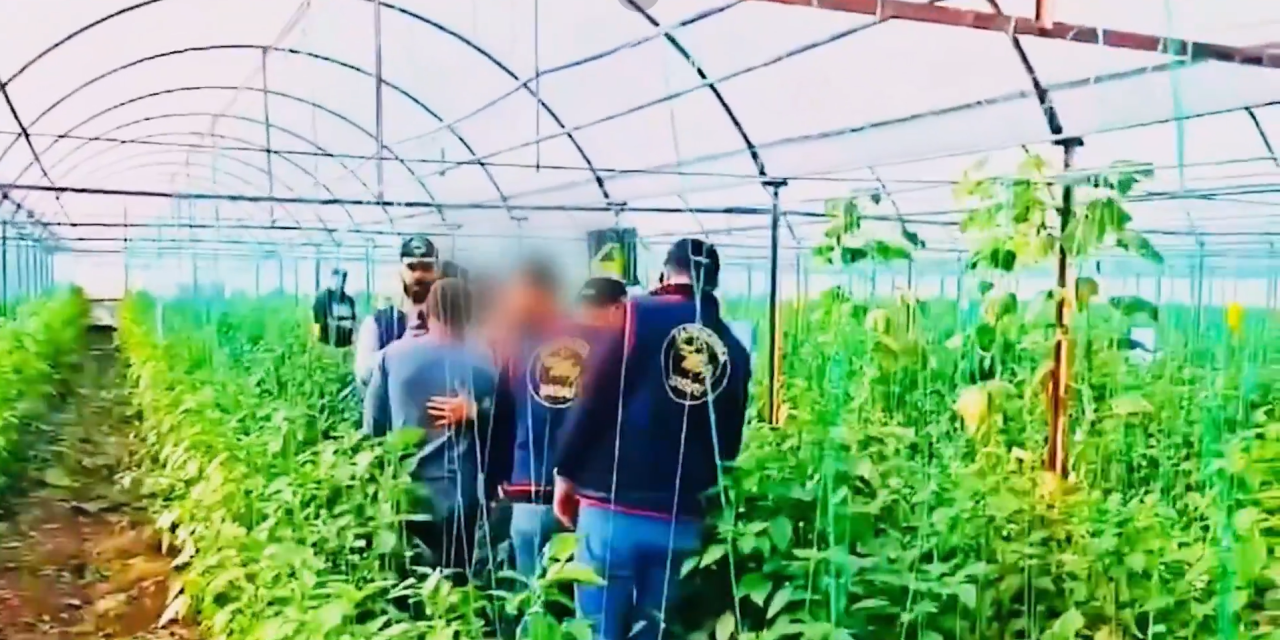 7 yıllık cinayet JASAT ekiplerini harekete geçirdi! Üzerinden akrabasının kimliği çıktı