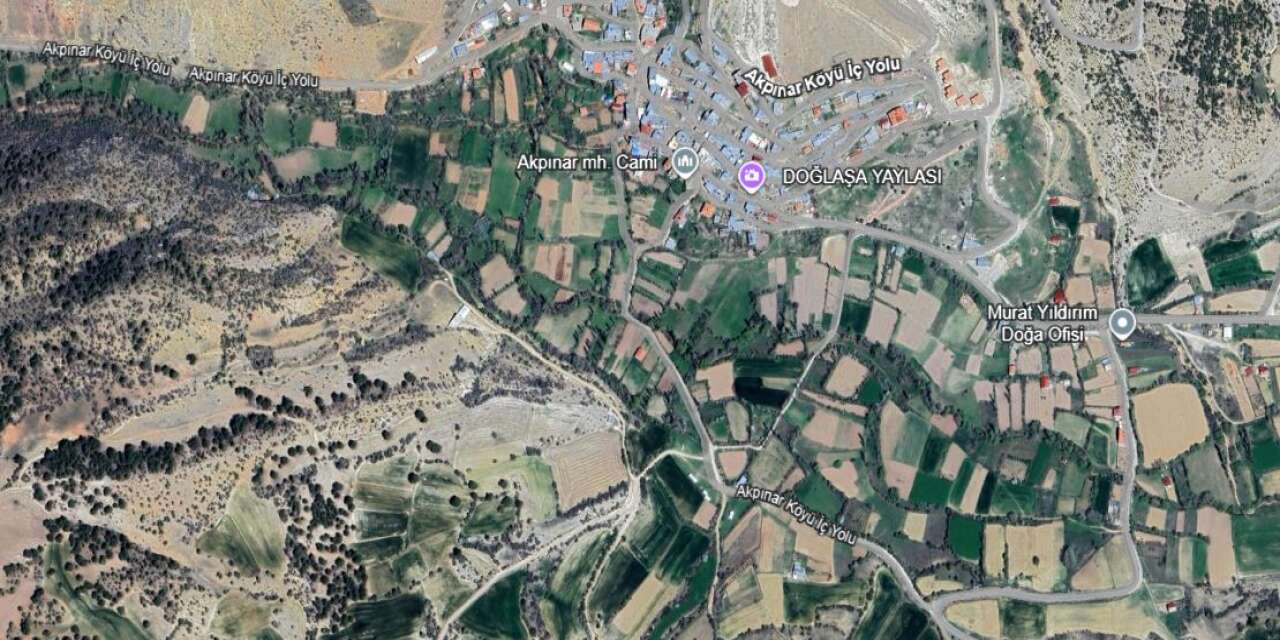 Konya’daki bu alanlar orman sınırları dışına çıkarıldı