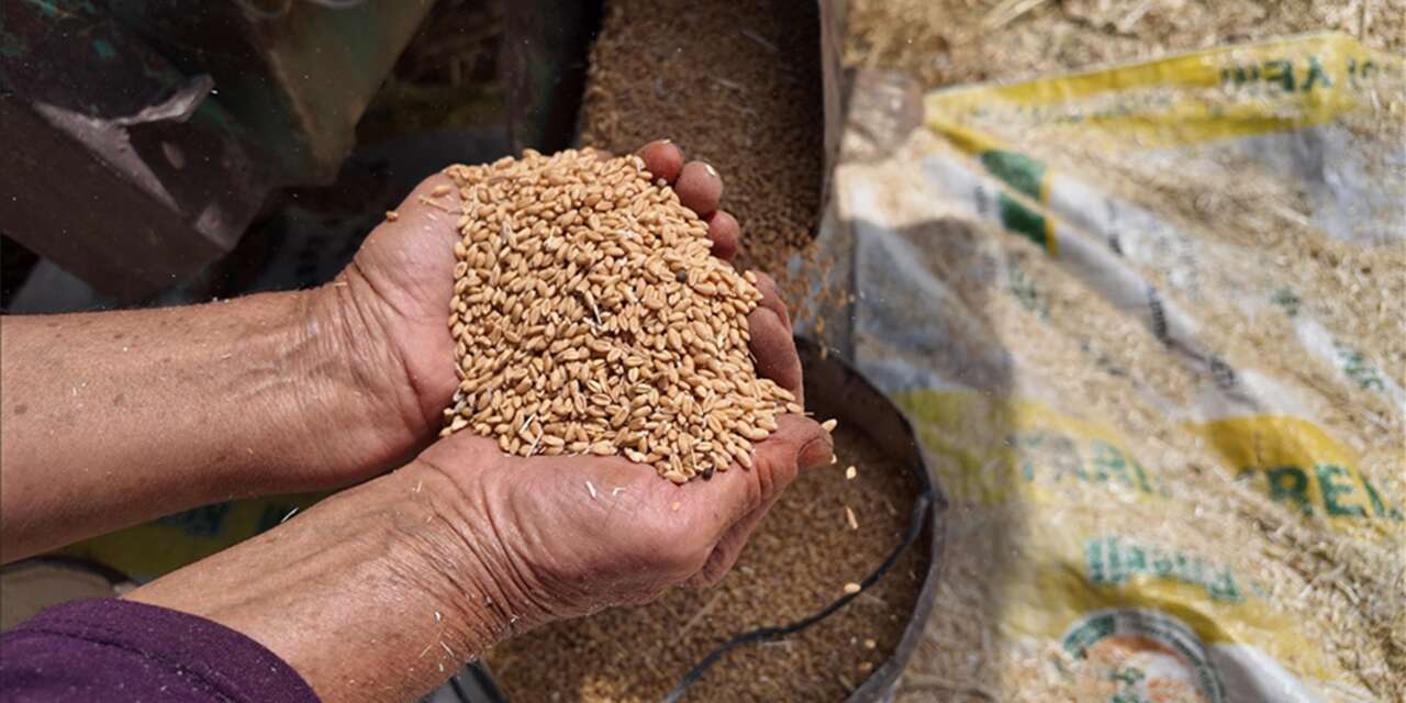 TMO’dan hasada kadar güçlü stok