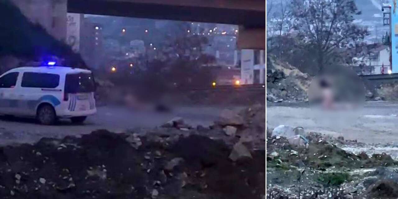 Köprü altında iğrenç görüntüler! Polise haber verdiler