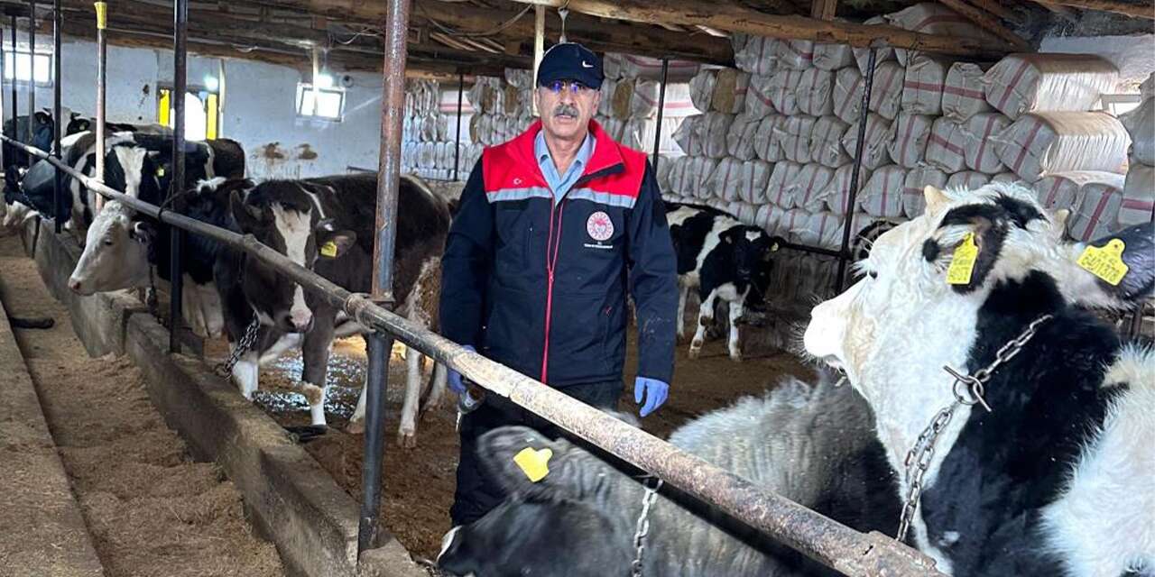 Konya Beyşehir’de hayvancılık mercek altında