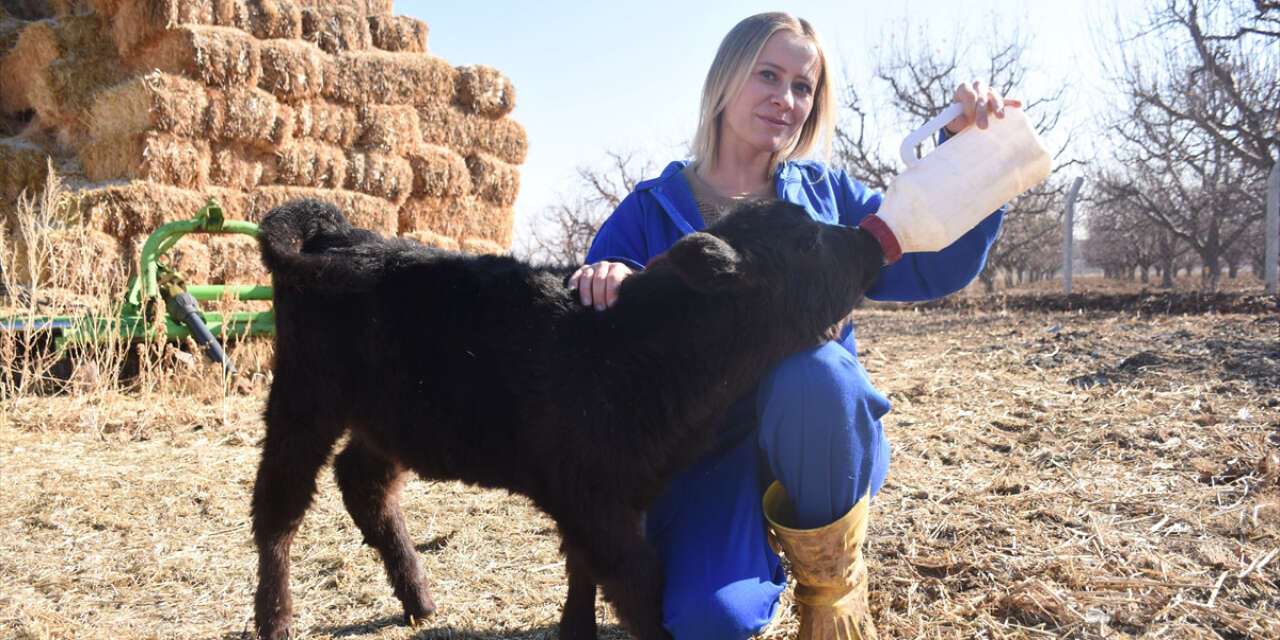 Yapamazsın diyenlere inat, elinin hamuruyla başarı hikayesi yazıyor