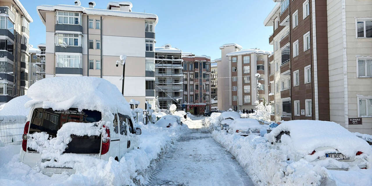 Bir ilimizde kıskandıran görüntü! 75 santim ölçüldü