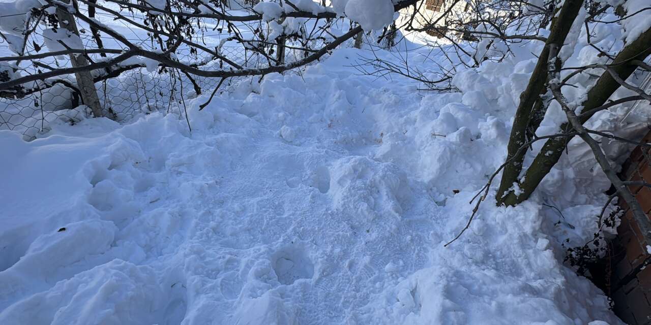 Donmuş halde kadın cesedi bulundu
