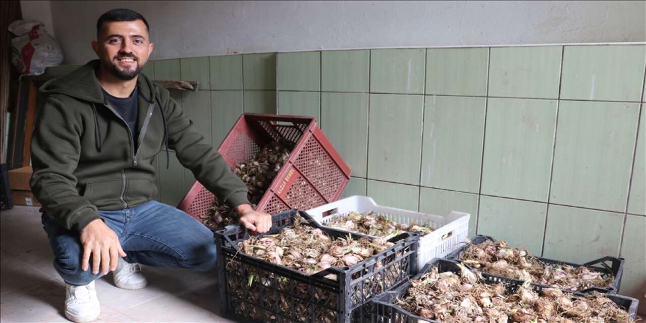 Tekstili bıraktı ak zambak üretti! Konya’ya da gönderiyor