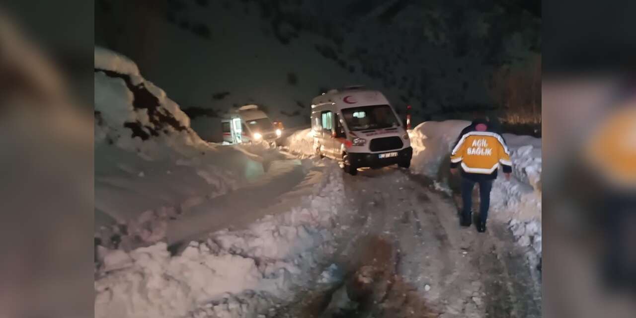 12 kişi sobadan zehirlendi, ekipler kar nedeniyle zor ulaştı