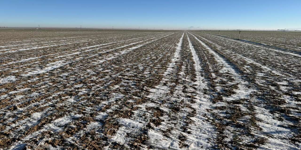 Konya Ovası’nda endişelendiren görüntü