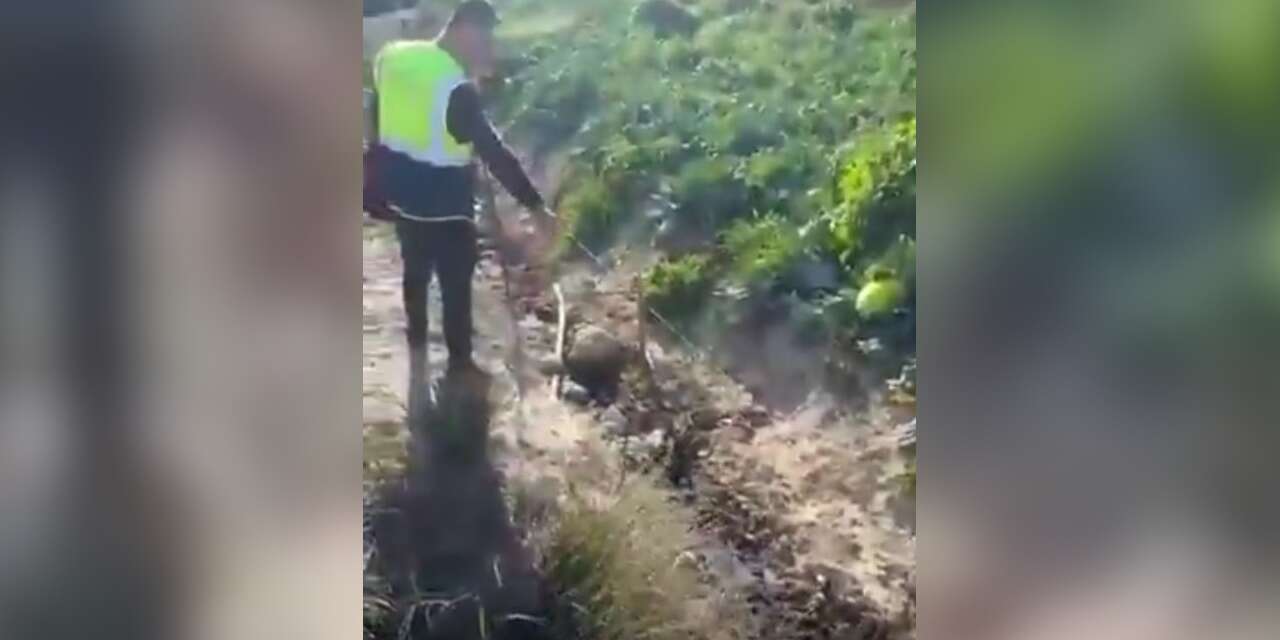 Göksu Nehri’ni kirleten tesise 1,3 milyon lira ceza kesildi