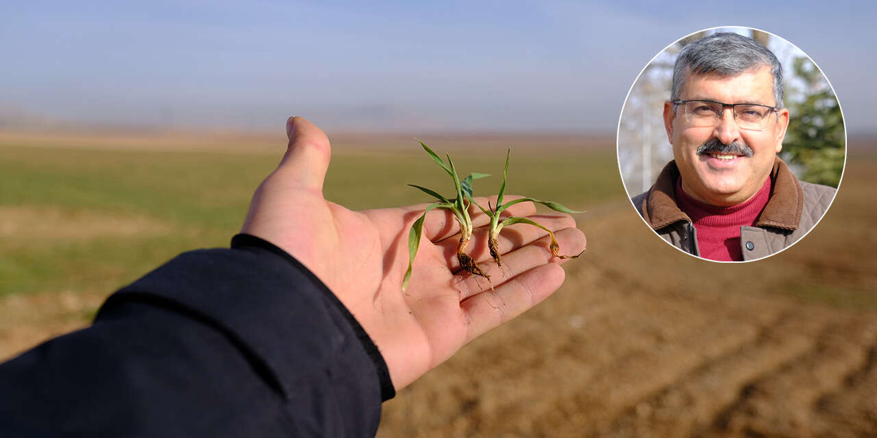 Konya’nın bereketli topraklarında hububat işi garantiye aldı