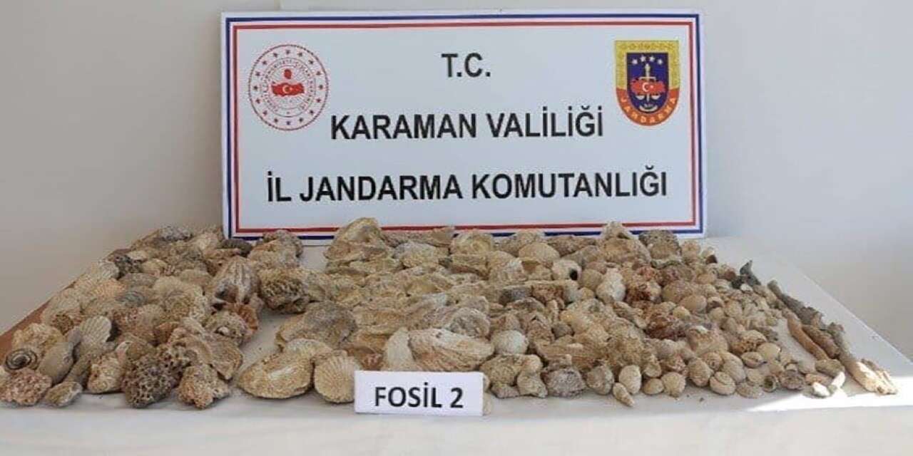 Yer Karaman! 420 adet fosil ele geçirildi