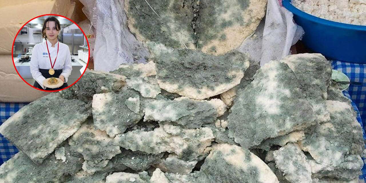 Konya’nın küflü peyniri gastronomi öğrencisine altın madalya getirdi