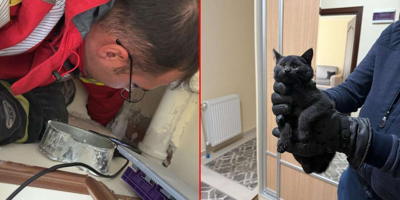 Konya’da bacaya giren kedi 6 saatlik çalışmayla kurtarıldı