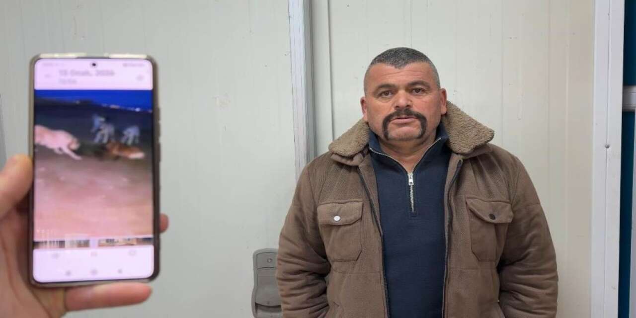 Konya’da balıkçı 80 kiloluk yaban domuzunu elleriyle yakaladı