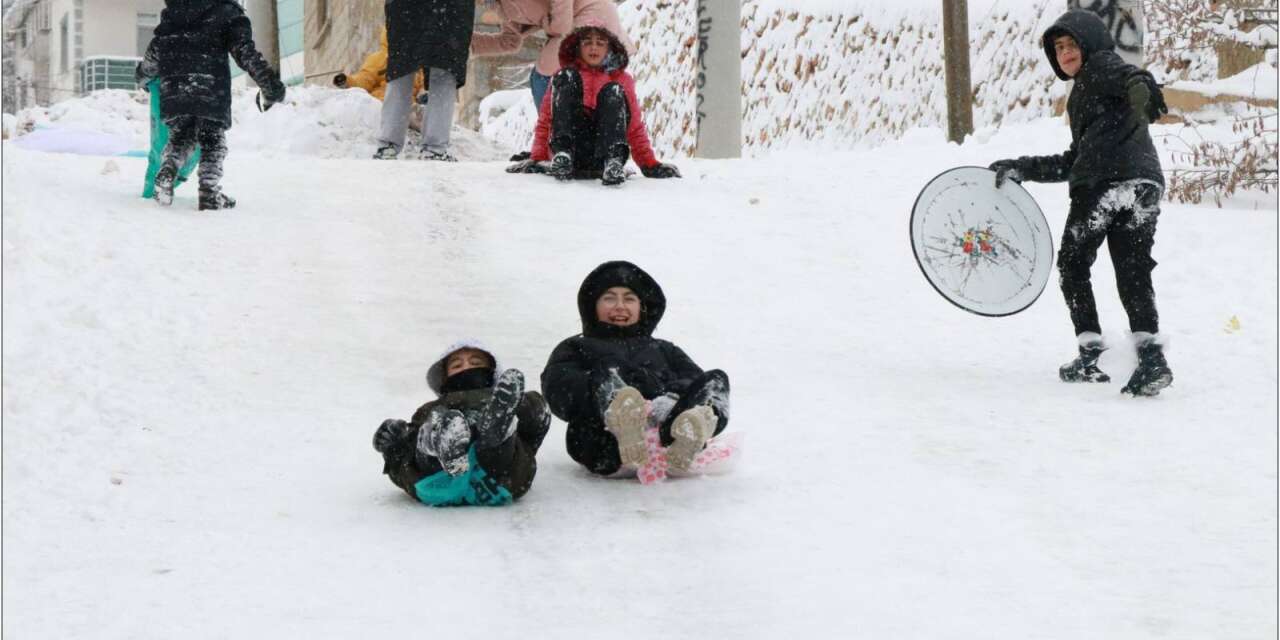 Konya’da hasret bitti, siniyi kapan sokağa çıktı