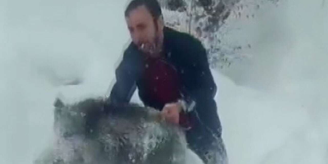 Elleriyle domuz yakalayan adama 15 bin TL para cezası