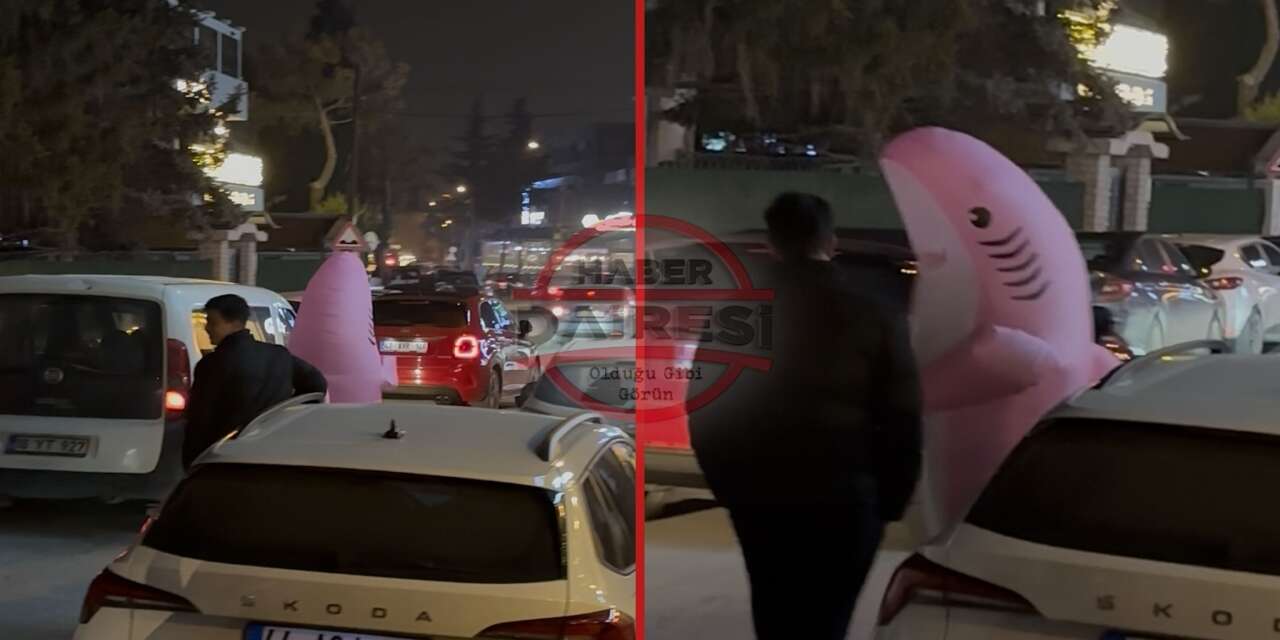 Konya’da kafeler sokağında pembe köpekbalığı sürprizi