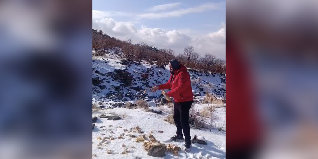 Zorlu kışta Konya Karapınar’daki yaban hayvanları unutulmadı