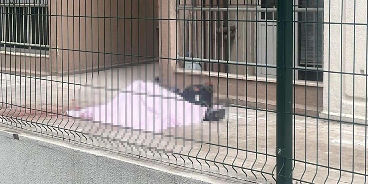 Ev kiralama bahanesiyle emlakçıya dehşeti yaşattı! Hayatını kaybetti