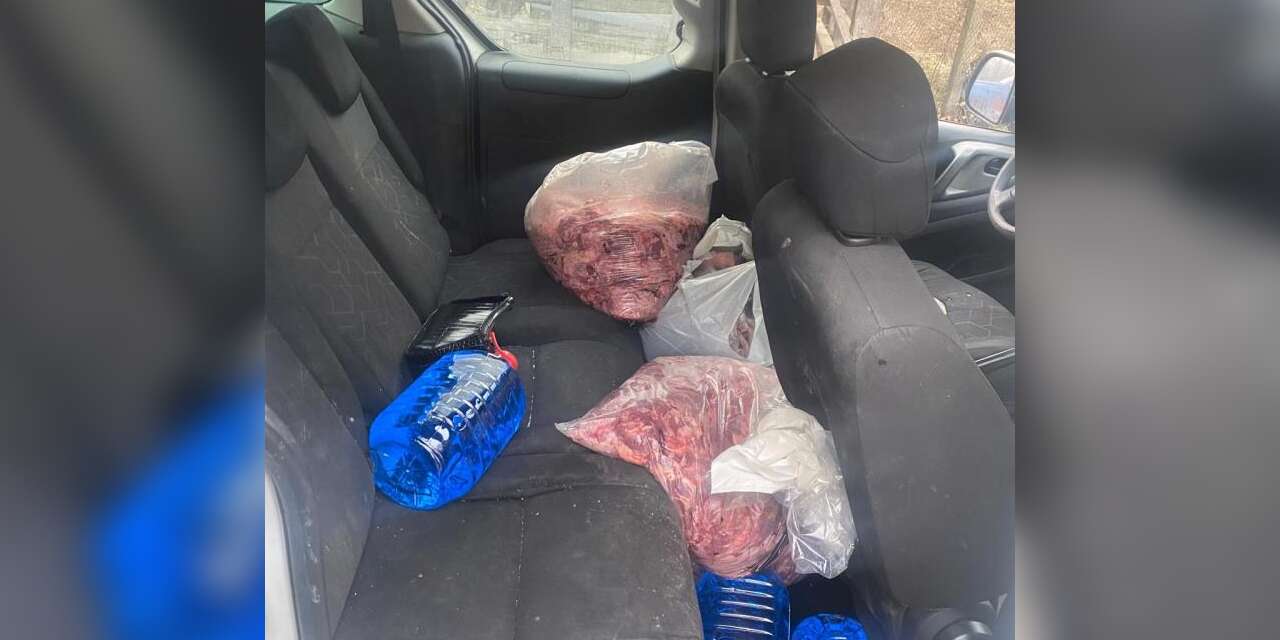 Jandarma görmese vatandaşa yedireceklerdi! Tam 450 kilo