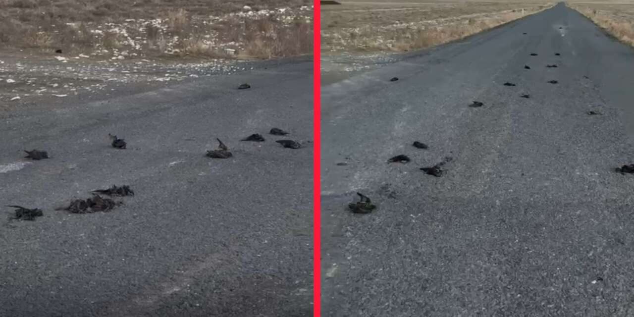 Konya Karapınar’da şüpheli olay! Katliamı mı, kaza mı?