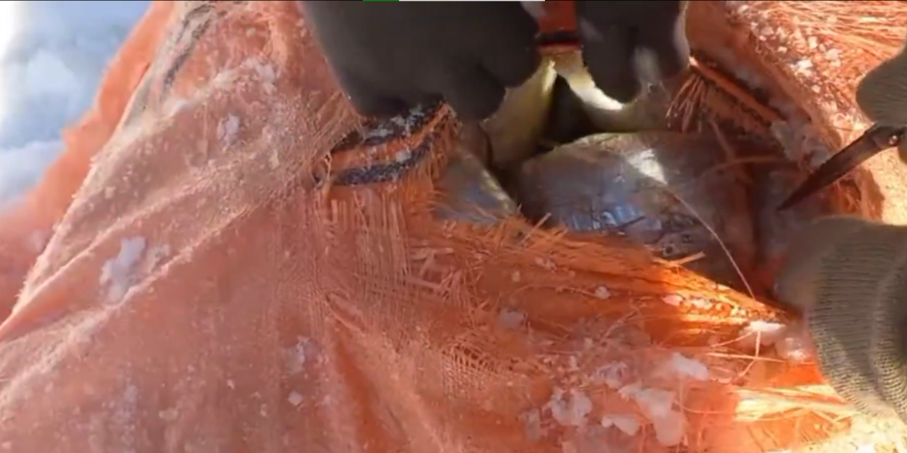 Bakan Yerlikaya açıkladı! 348 kilogram uyuşturucu madde ele geçirildi