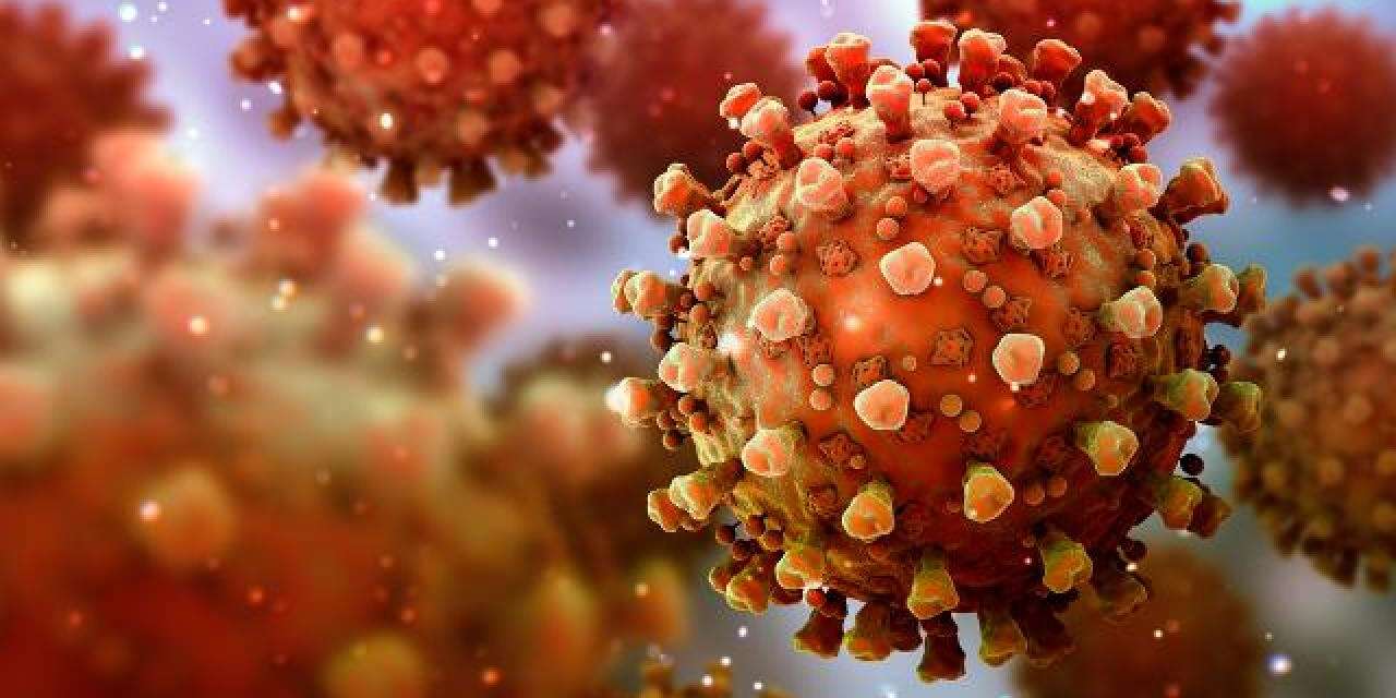 İlk kez 1999’da görülen virüs tekrar ortaya çıktı! Tedavisi yok, ölüme götürüyor