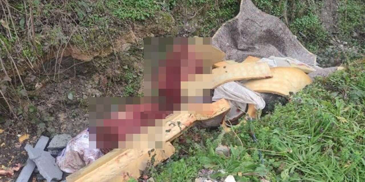 Otoyol kenarındaki kemikler ekipleri vahşetin adresine götürdü