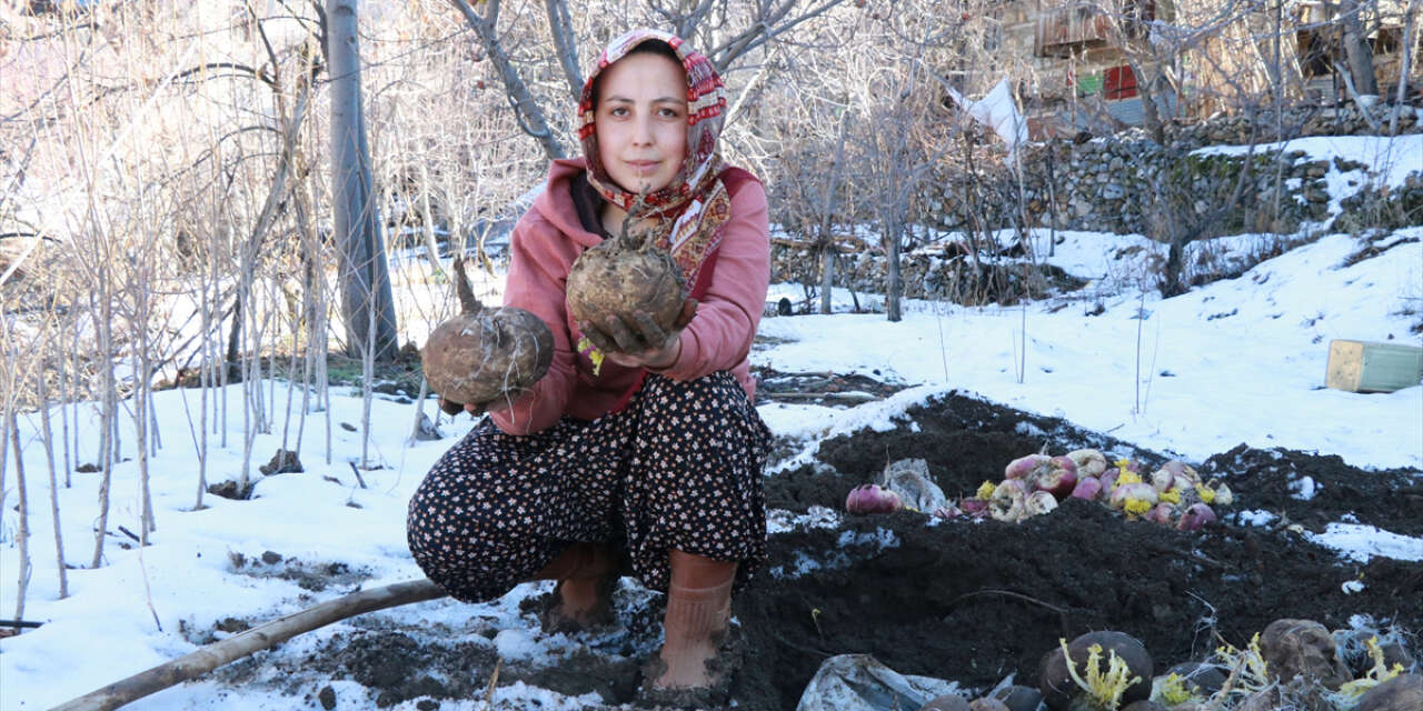 Konya’da yaz sebzelerini, kış ortasında yeni toplamış gibi yiyorlar