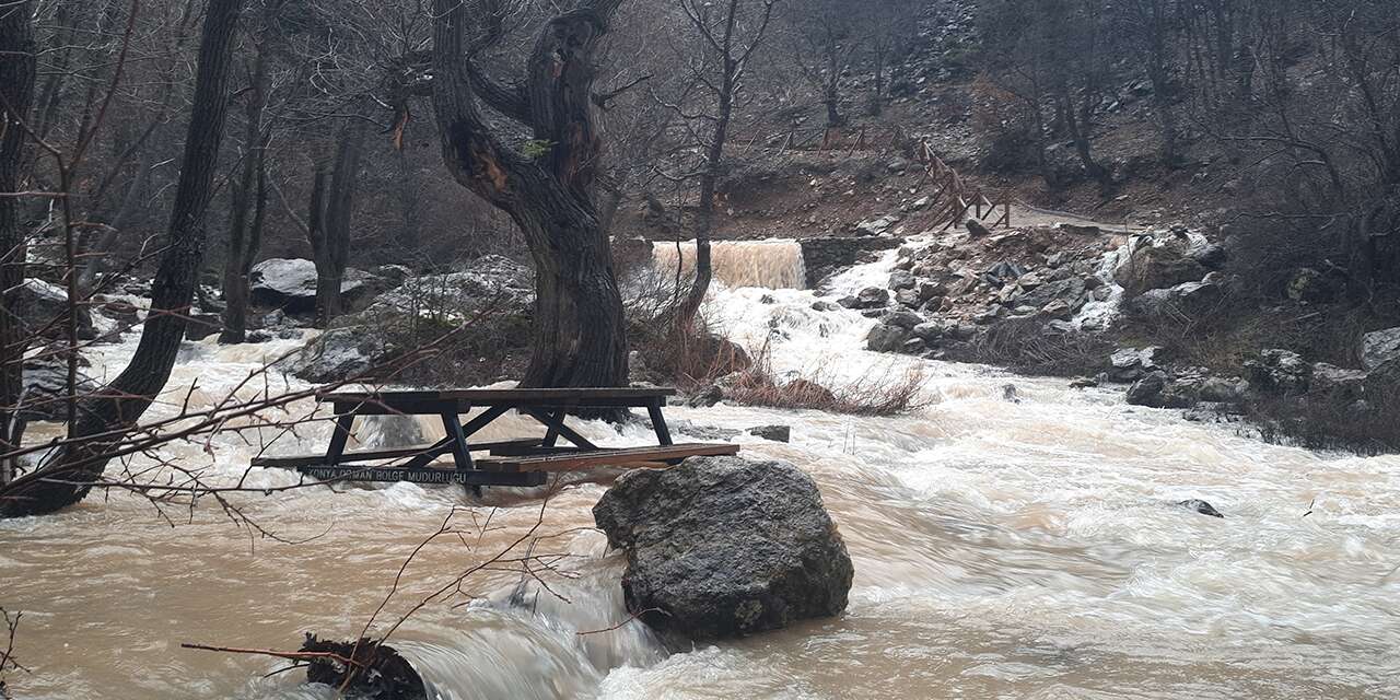 Konya’da kuraklığın ardından sevindiren manzara! Yeniden canlandı