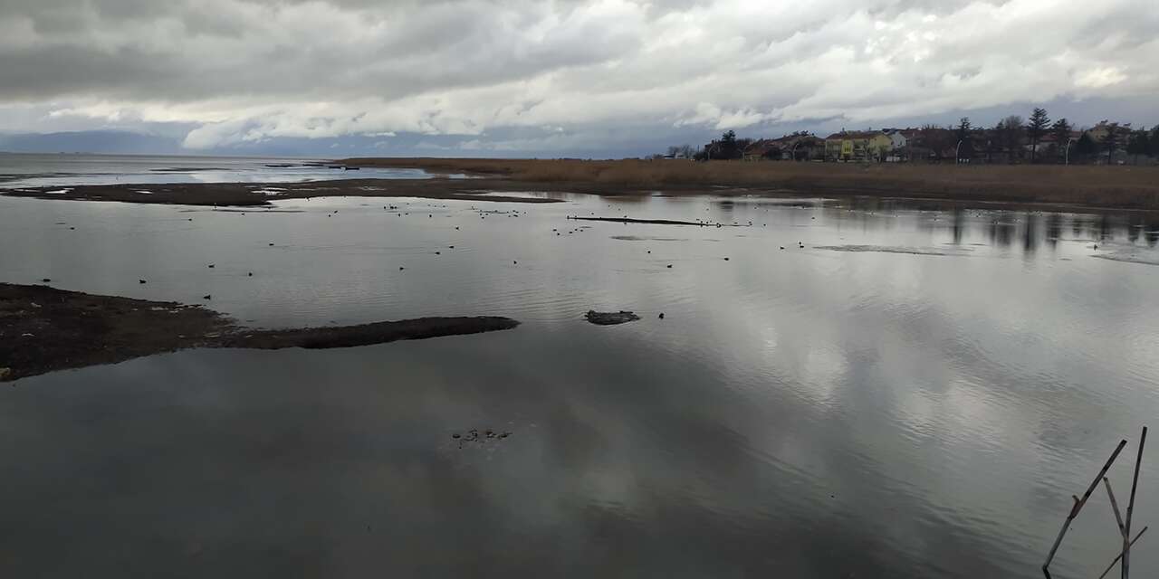 Konya’nın can çekişen gölünde son durum! Yağışlar can suyu oldu