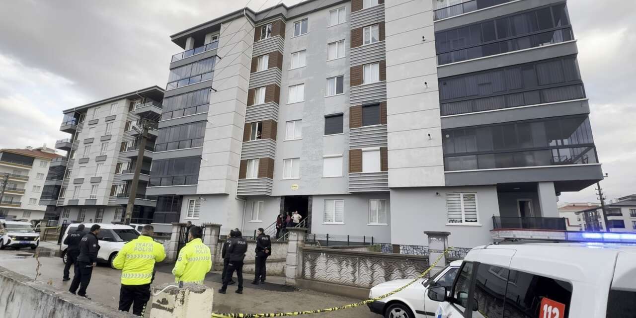 Gurbetçi kardeş mal paylaşımı sırasında ağabeyini öldürdü