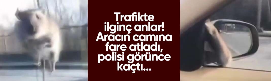 Trafikte ilginç anlar! Aracın camına fare atladı, polisi görünce kaçtı