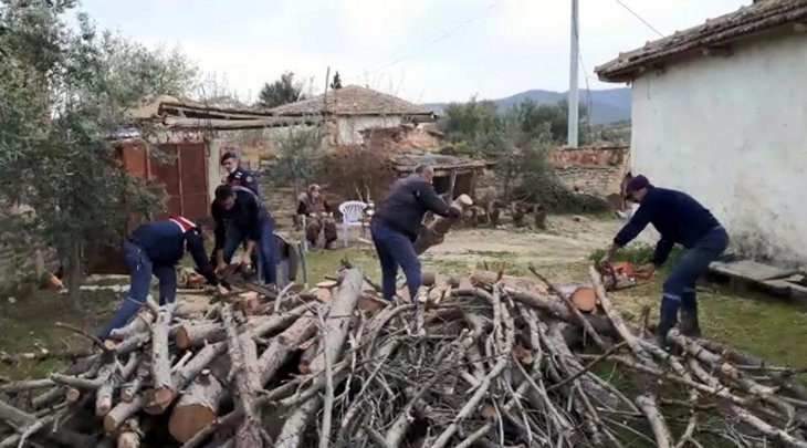 Şehit annesinin ihtiyaçlarını karşılayan jandarma yakacak odunları da kesti