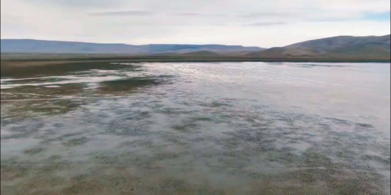 Konya’nın kuruyan gölünden umut verici haber