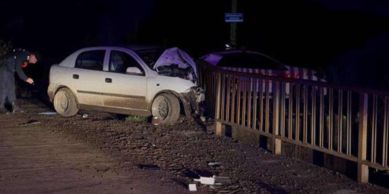 Köprü korkuluklarına çarpan otomobilin sürücüsü öldü
