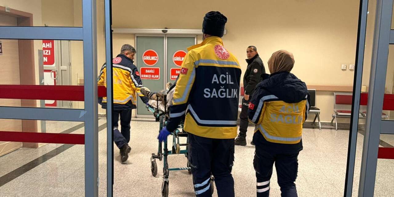 Otomobil şarampole yuvarlandı! 3’ü bebek, 7 kişi yaralandı