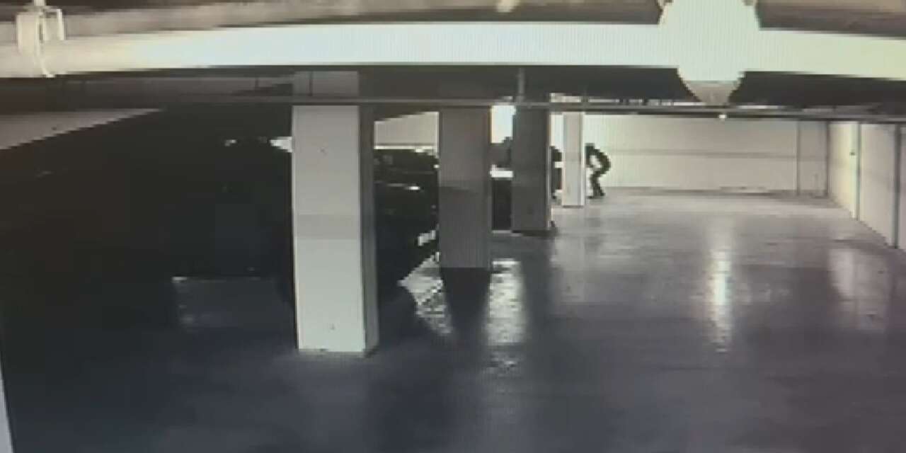 15 dakikada 30 milyon dolarlık otopark hırsızlığının görüntüleri çıktı