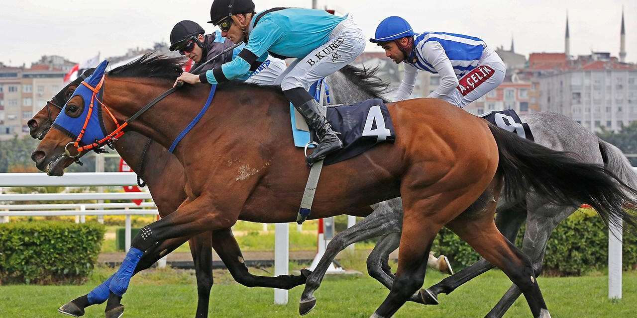 100 milyon TL’lik yarış atları kayıp mı? TİGEM’den açıklama geldi