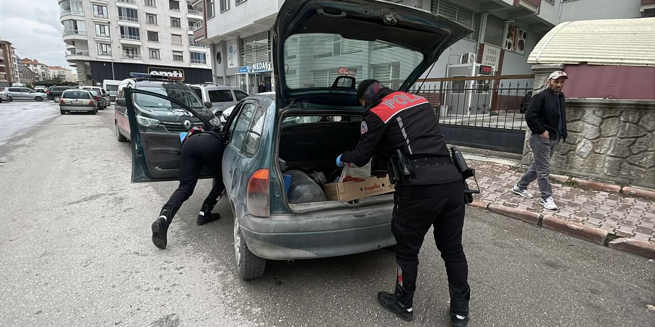 Konya’da yunuslardan nefes kesen kovalamaca
