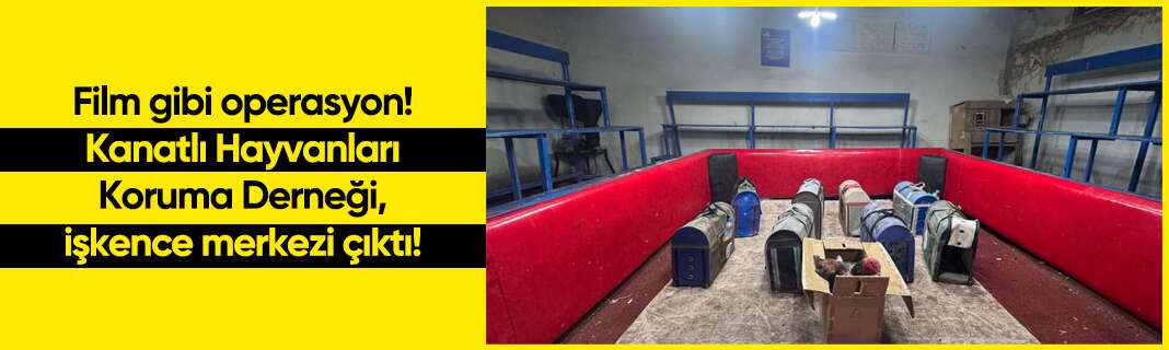 Film gibi operasyon! Kanatlı Hayvanları Koruma Derneği, işkence merkezi çıktı