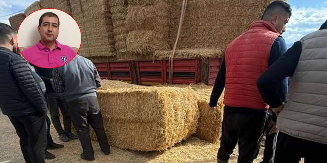 Park halindeki TIR’dan devrilen saman balyaları can aldı