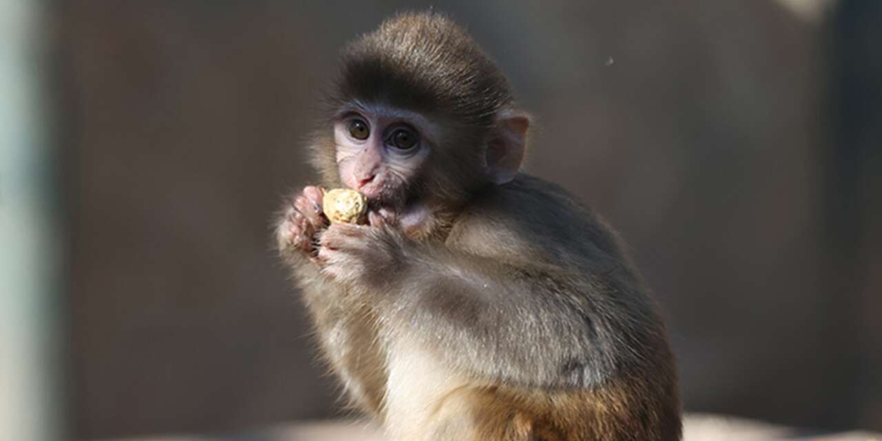 Uyuşturucu operasyonunda kurtarıldı! “Portakal” artık yetimler barınağında